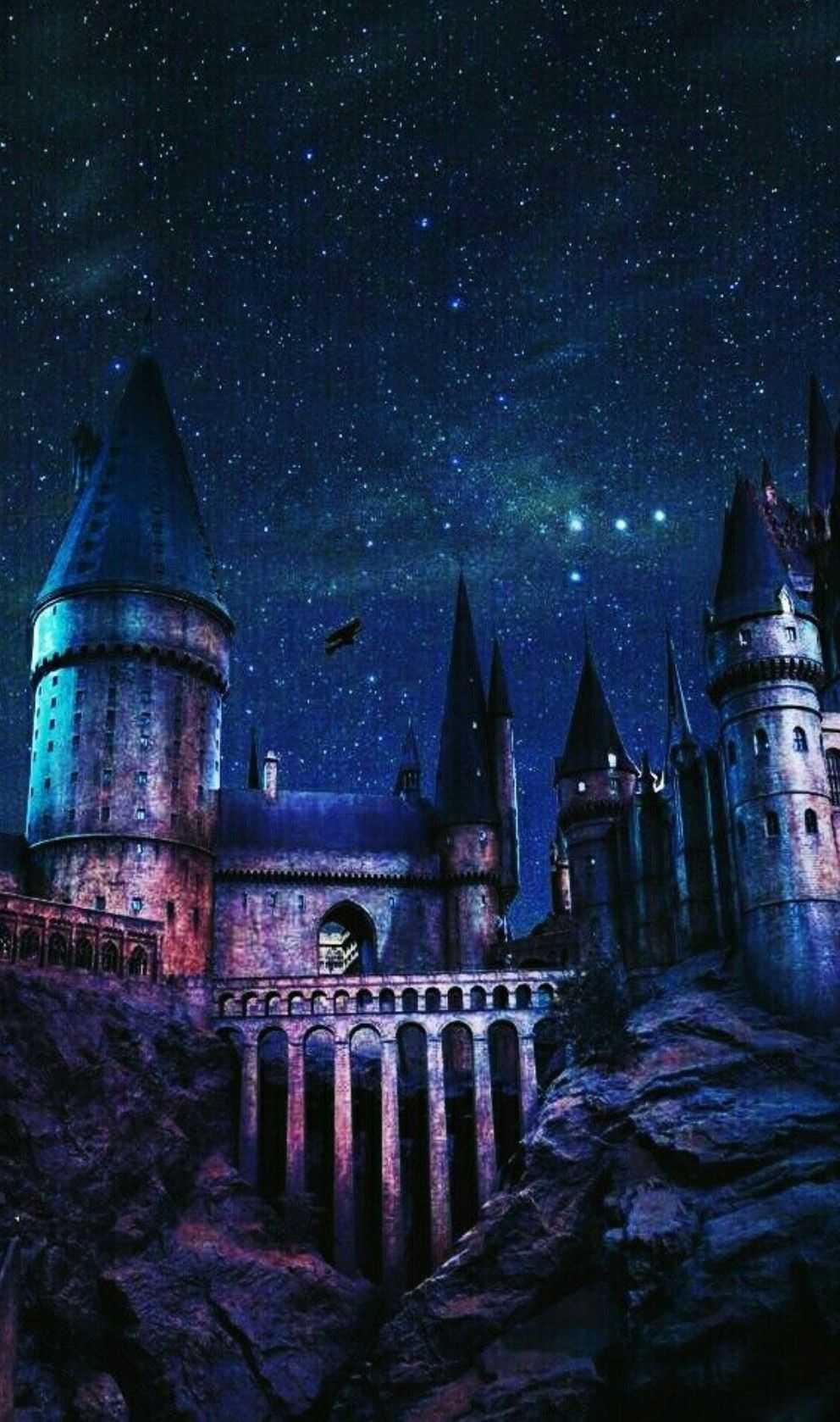 992x1678 Hogwarts Wallpaper Free HD Wallpaper