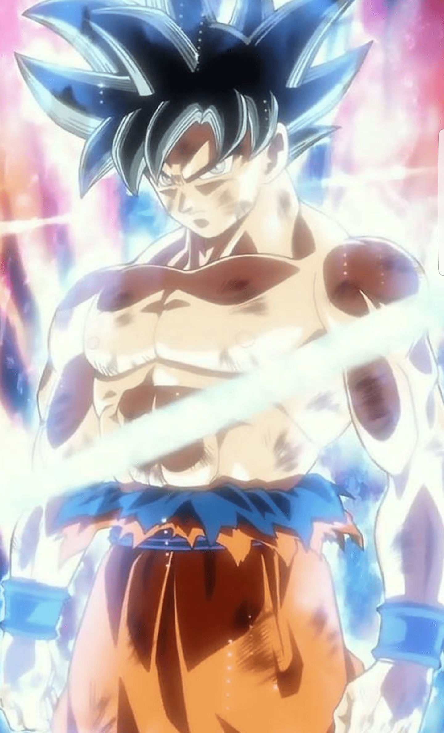 1440x2377 Goku (Character)