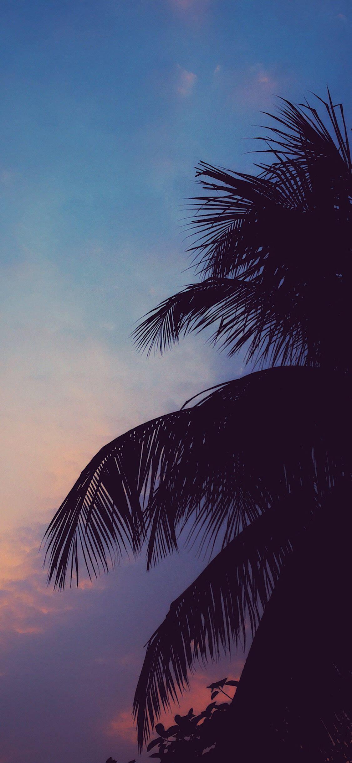 1125x2436 Chill Aesthetic Wallpaper