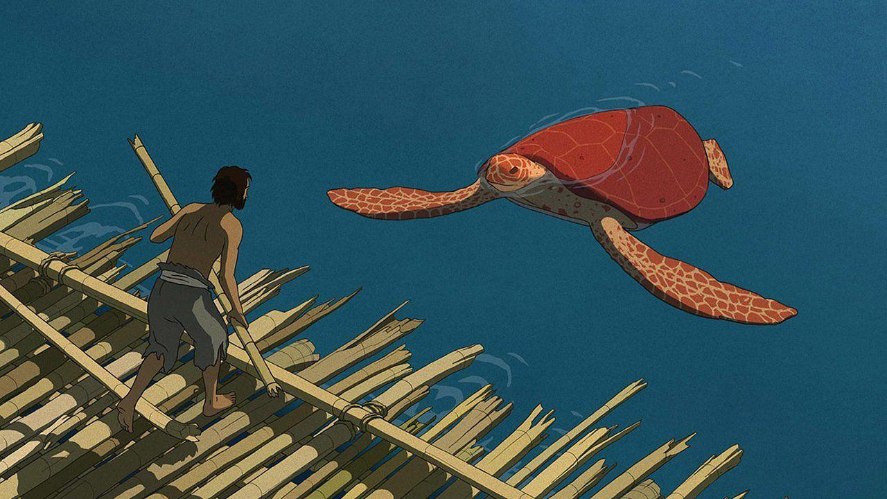 The Red Turtle Wallpapers - Top Free The Red Turtle Backgrounds ...
