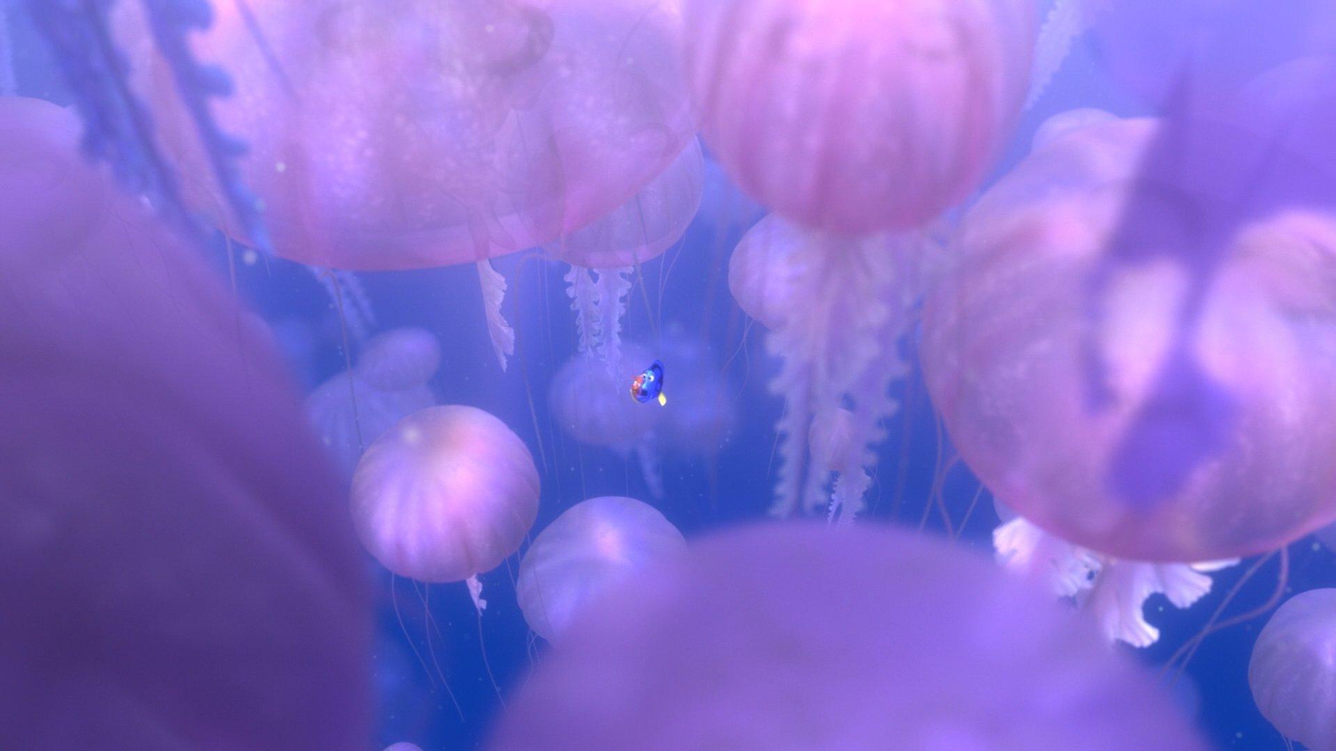 1920x1080 FINDING NEMO Animation Underwater Sea Ocean Tropical Fish Adventure Family Comedy Drama Disney 1finding Nemo Jellyfish Wallpaperx1080
