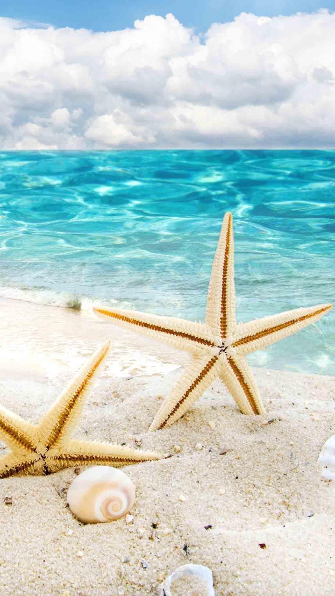 1152x2048 Starfish & Seashells on the beach. Beach scenes, Sea shells, Wallpaper iphone summer