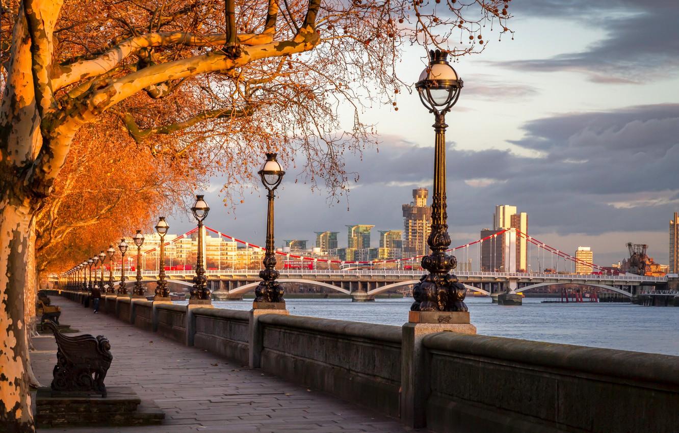 1332x850 Wallpaper autumn, trees, bridge, river, England, London, lights, promenade, London, England, River Thames, Chelsea Bridge, Chelsea Bridge, The River Thames image for desktop, section город