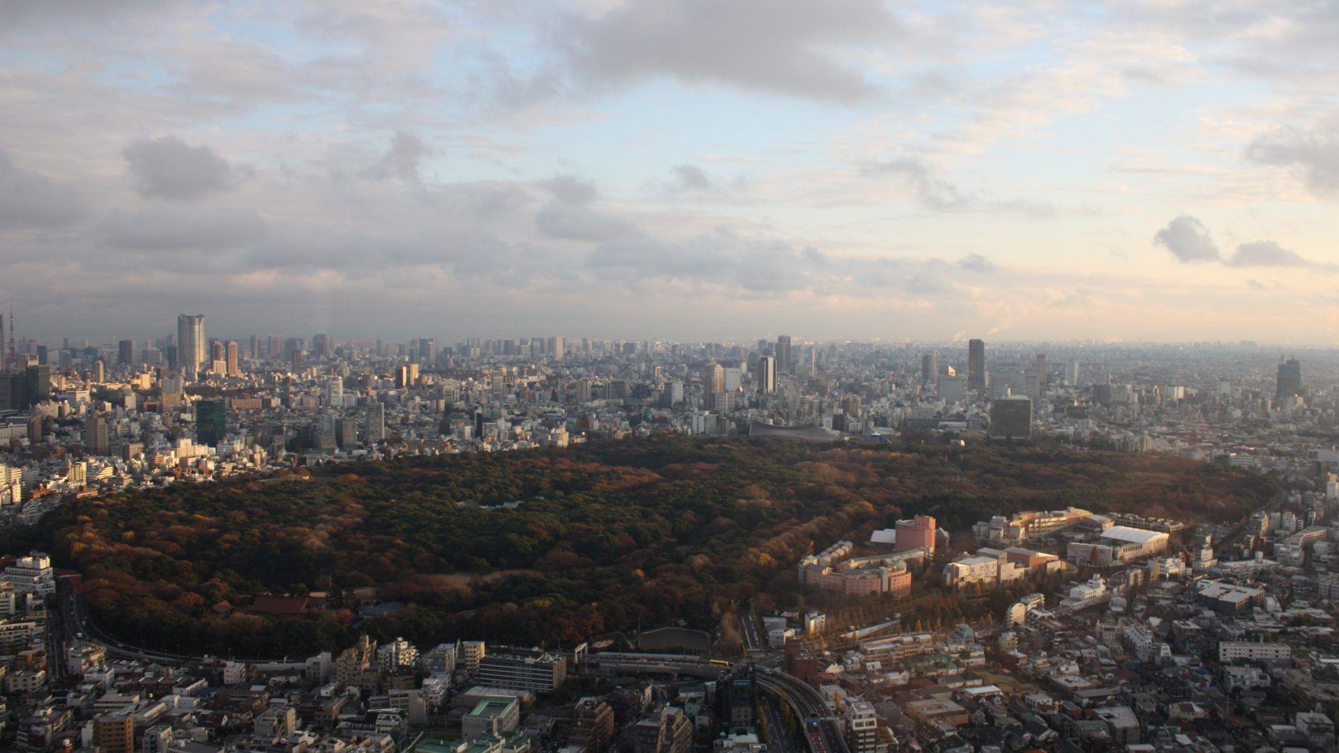 1920x1080 wallpaper: Japan Frederika Sakura Asia Scenery