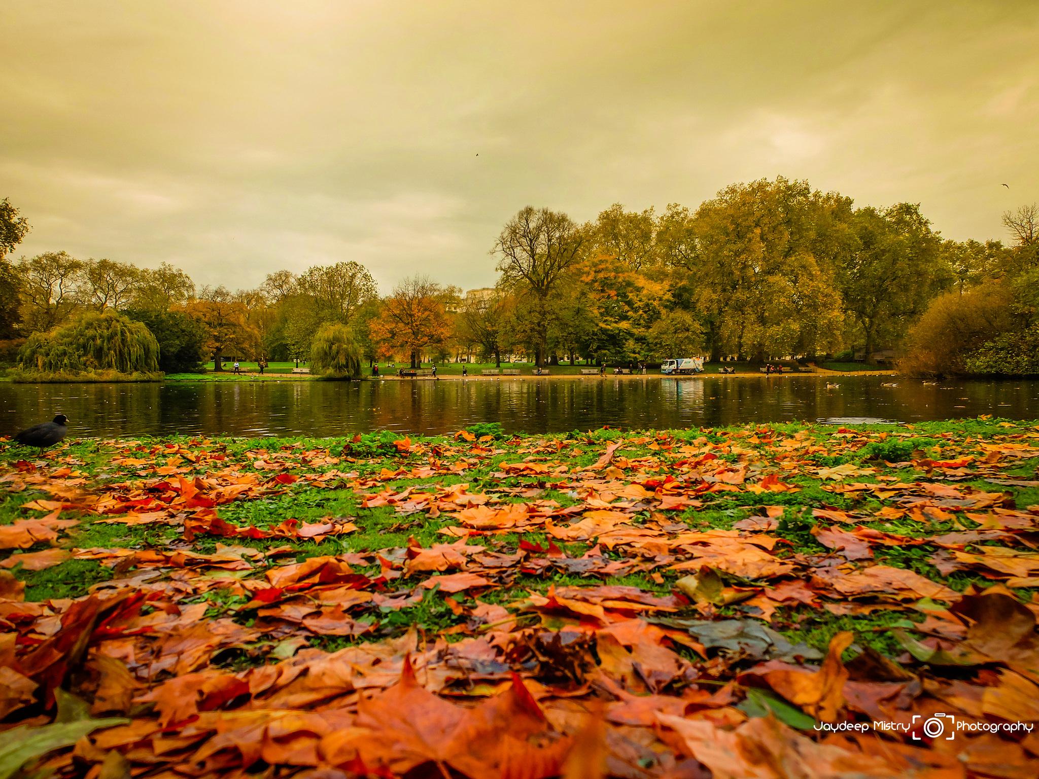 2048x1536 Autumn In London Wallpaper