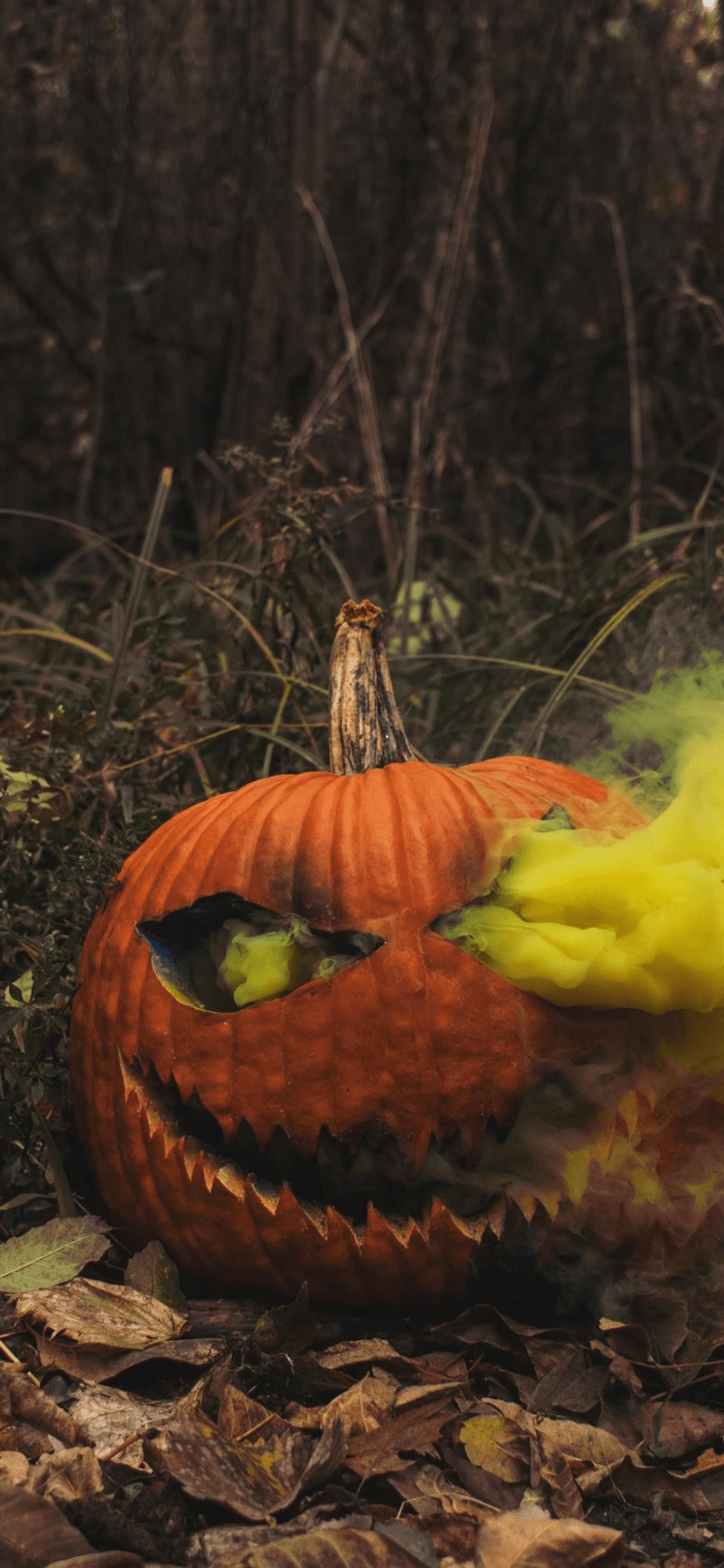 Halloween Photography Wallpapers - Top Free Halloween Photography