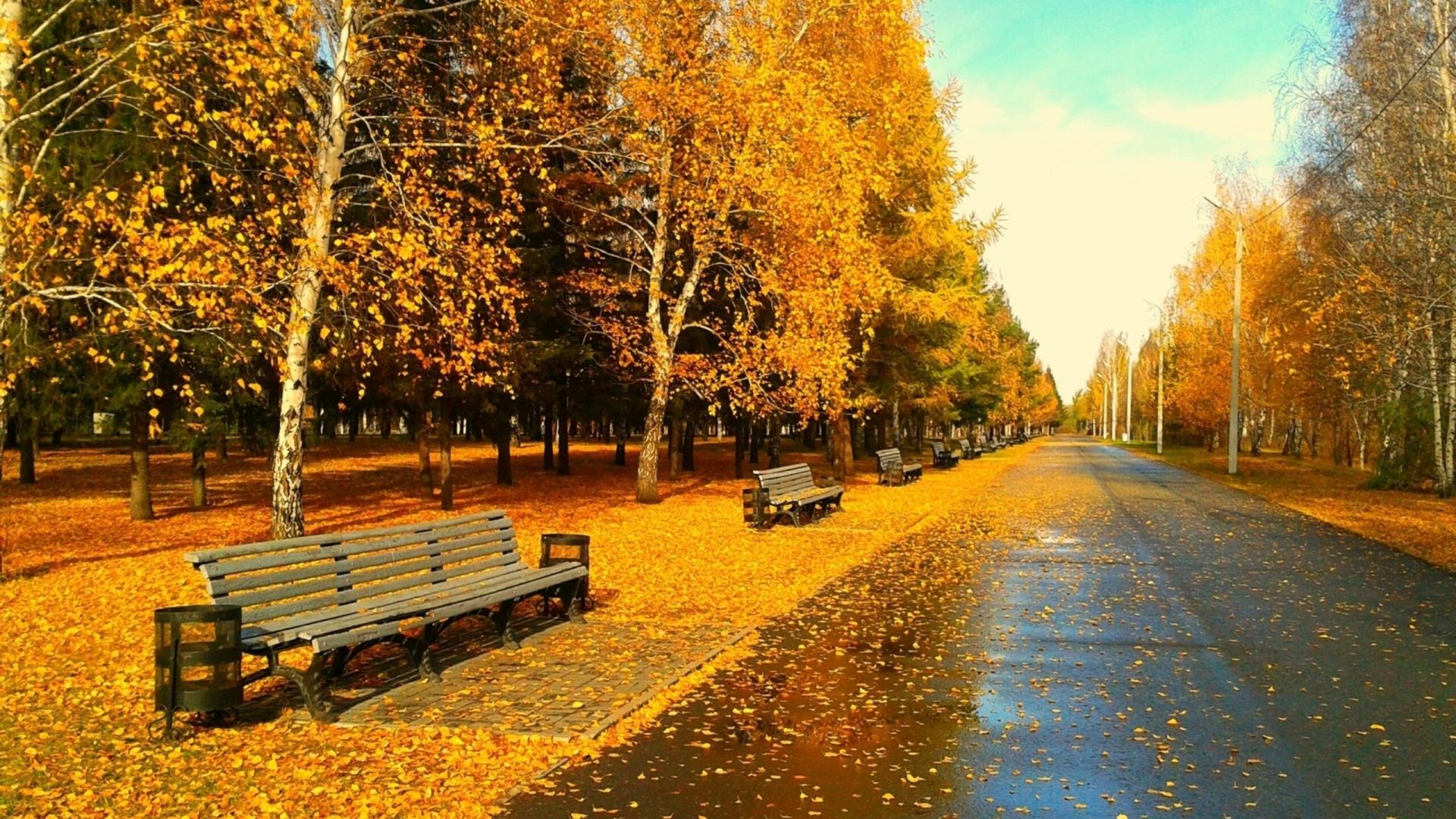 1920x1080 Autumn Wallpaper