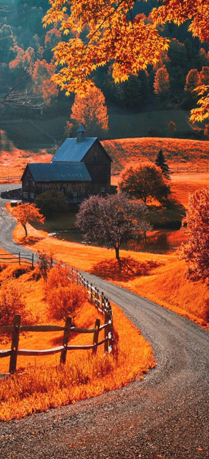 700x1535 Give Your Screen An Update With A Fall iPhone Wallpaper, Design & Competitions Aggregator