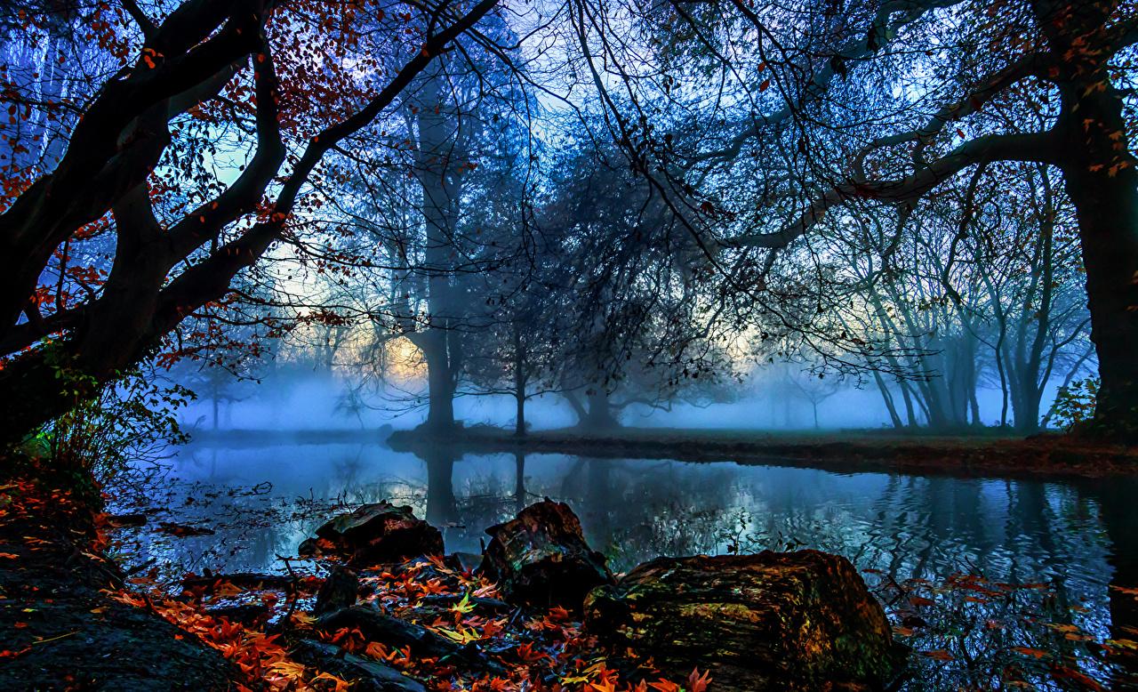 1280x778 Picture London England Morden Hall Park Fog Autumn Nature Rivers
