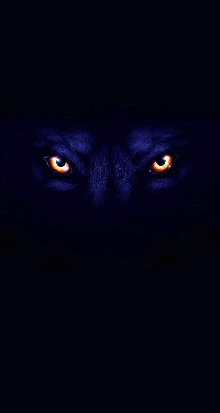 726x1360 Wolf Eyes HD Wallpaper Wallpaper.pro