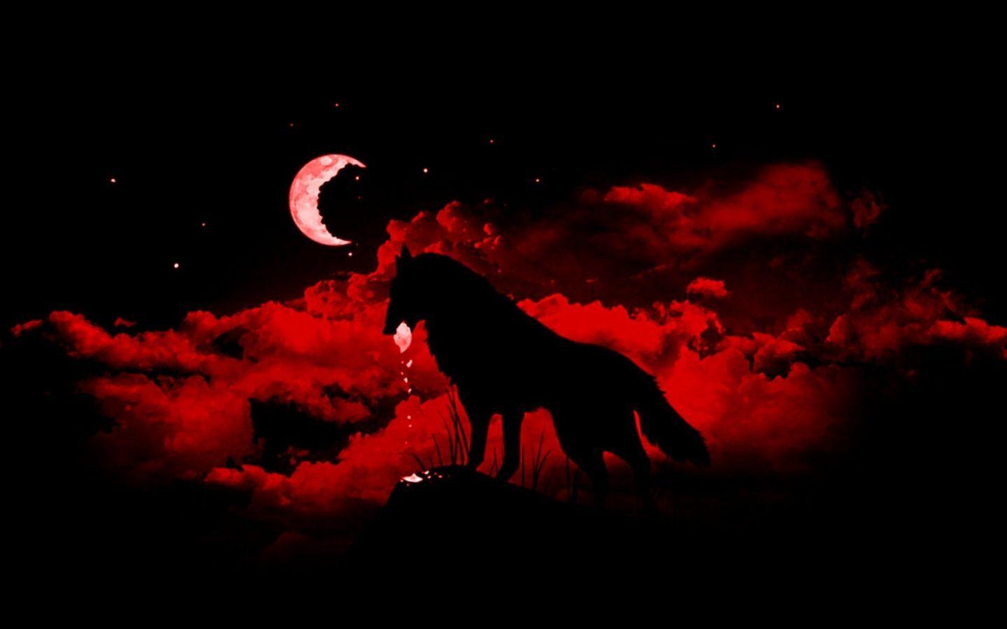 1440x900 Red And Black Wolf Wallpaper