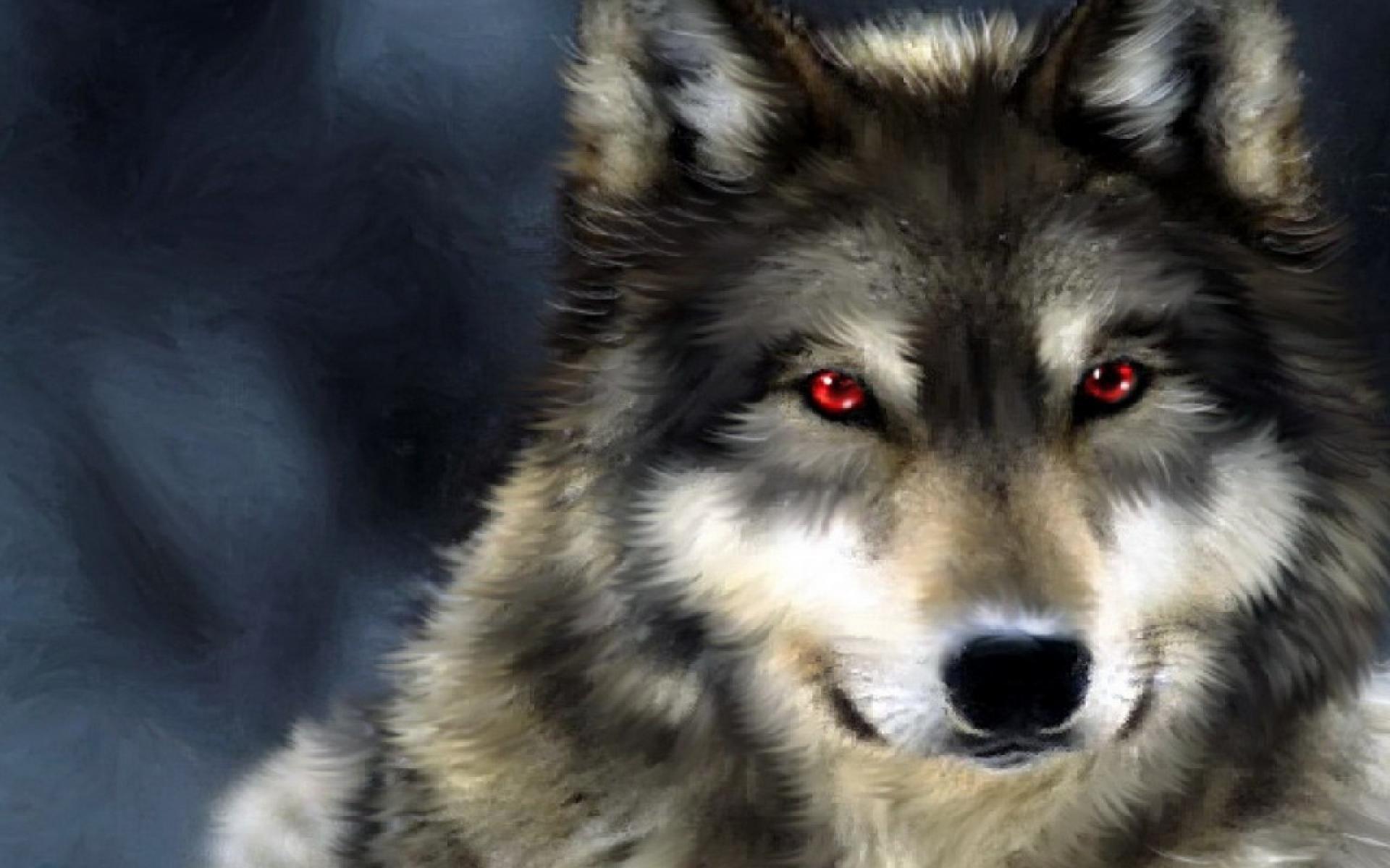 Black Wolf with Red Eyes Wallpapers Top Free Black Wolf with Red Eyes