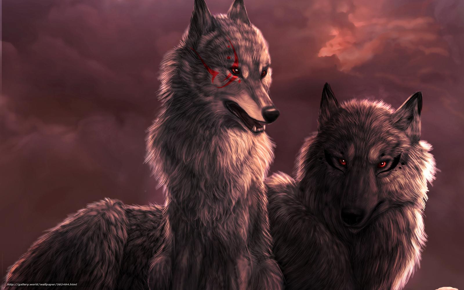 1600x1000 Download Wallpaper Wolf, She Wolf, Sunset, Clouds Free Desktop Wallpaper In The Resolution 1680x1050