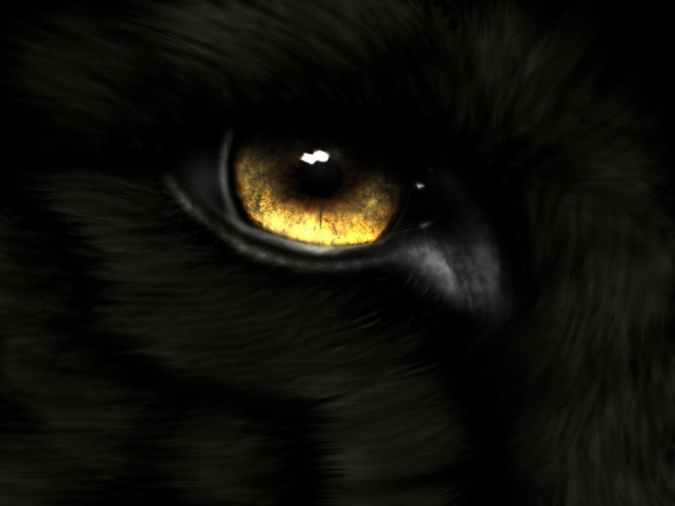 1366x1024 Animated Wolf Wallpaper