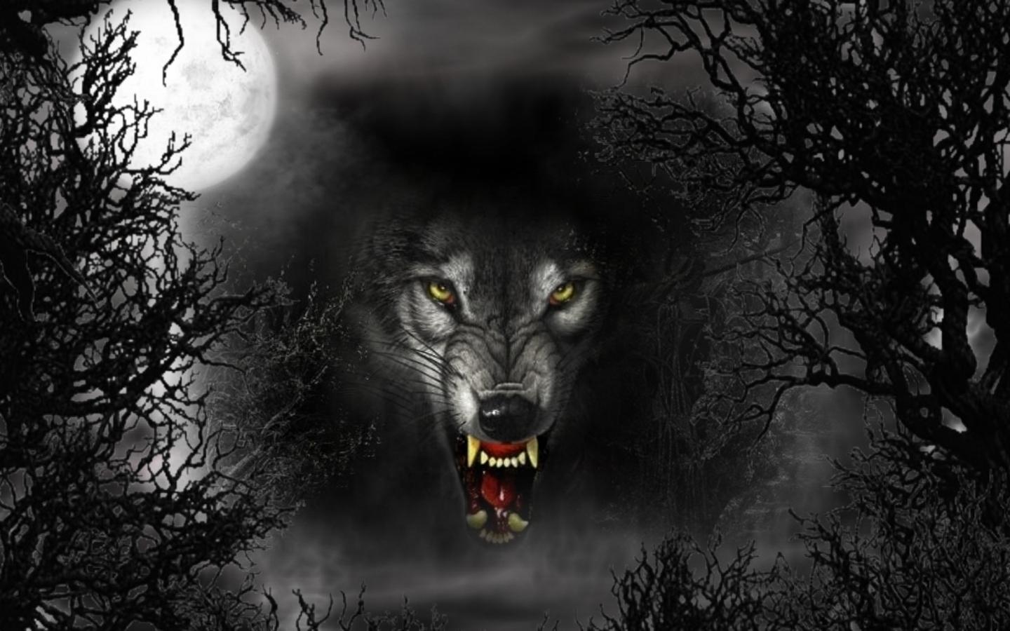 1440x900 Cool Black Wolf Wallpaper