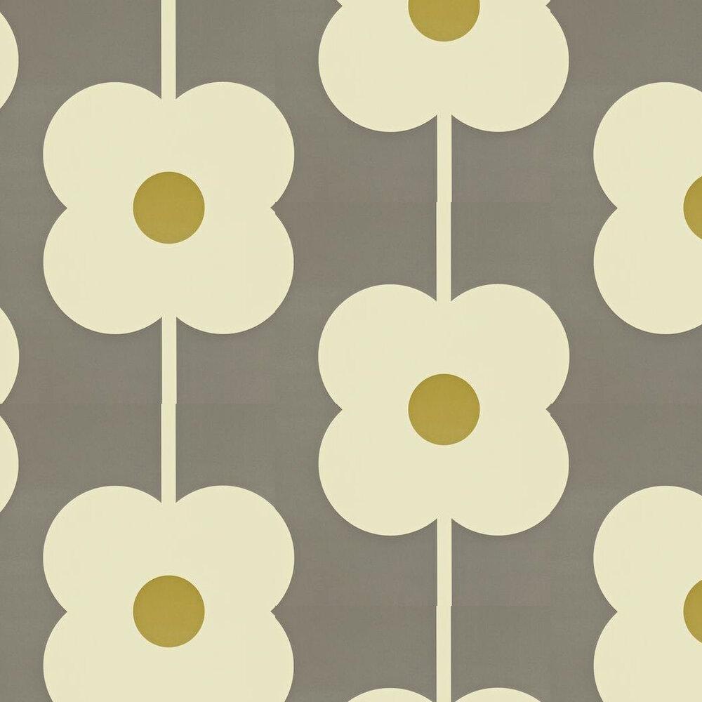 Grey and Yellow Flower Wallpapers Top Free Grey and Yellow Flower