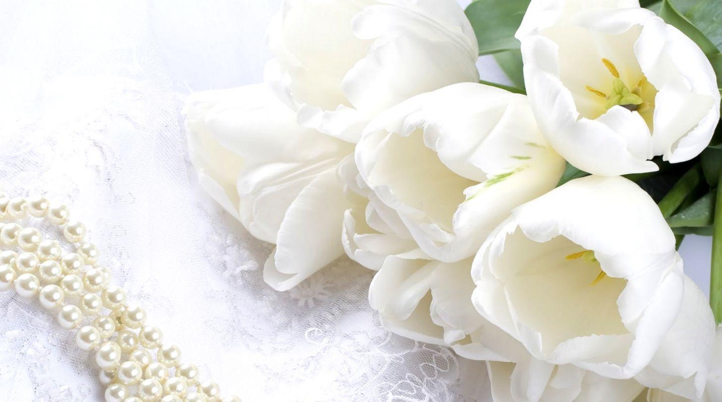 1456x810 White Flower HD Wallpaper
