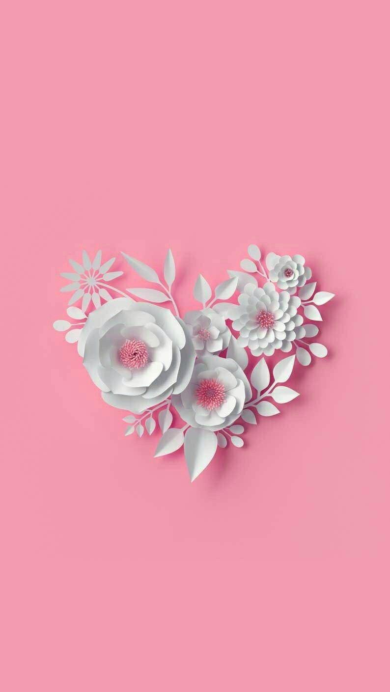 794x1410 Flower pink. White flower wallpaper, Flowers photography wallpaper, Flower wallpaper