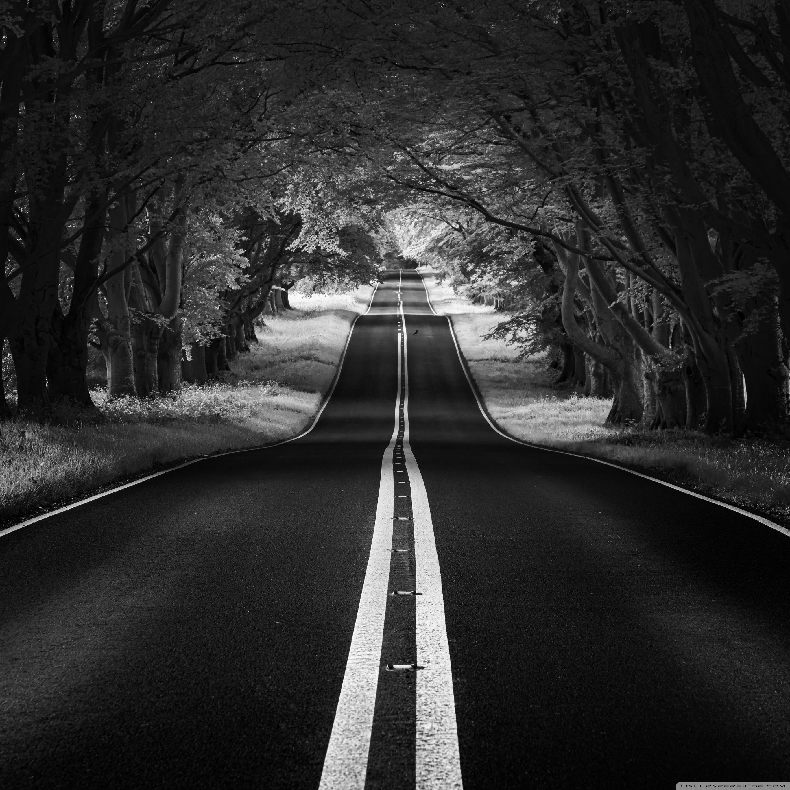 2732x2732 Road Landscape, Aesthetic, Black and White Ultra HD Desktop Background Wallpaper for 4K UHD TV : Widescreen & UltraWide Desktop & Laptop : Tablet