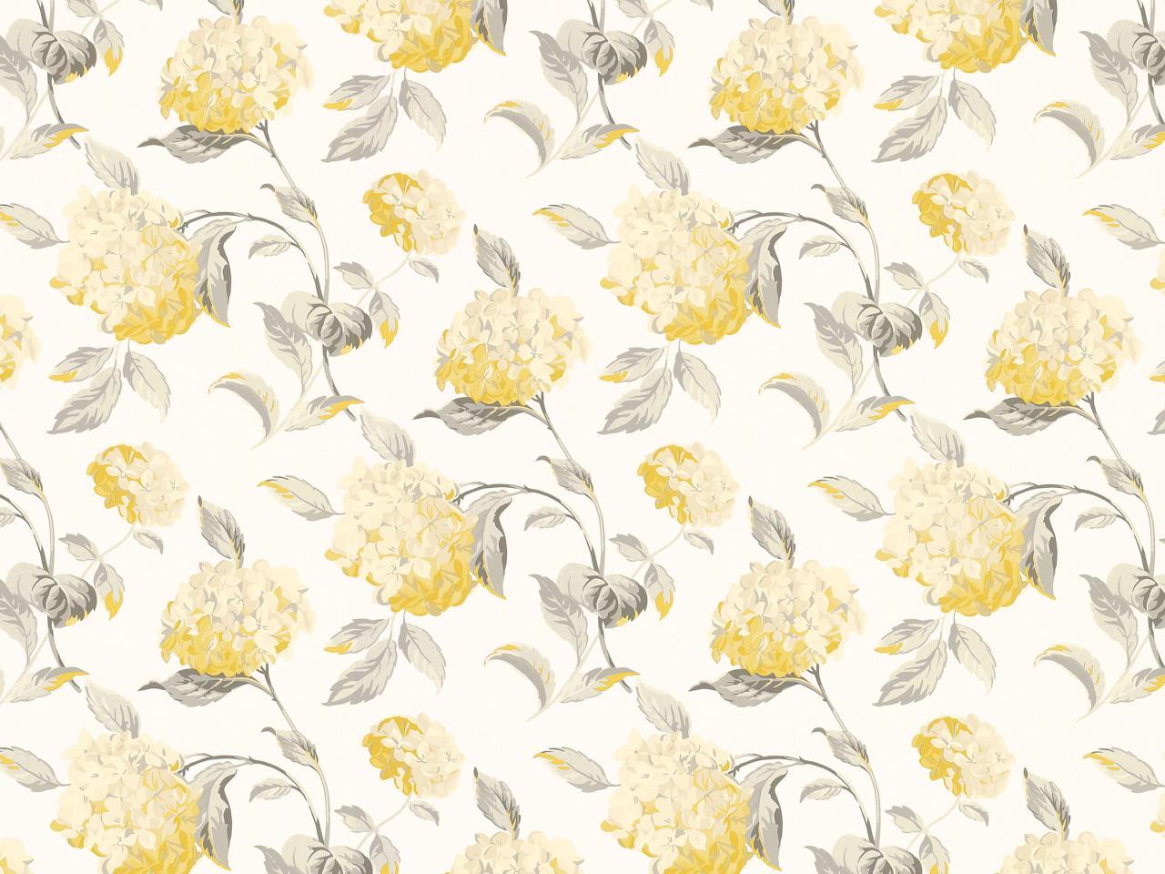 Grey and Yellow Flower Wallpapers Top Free Grey and Yellow Flower