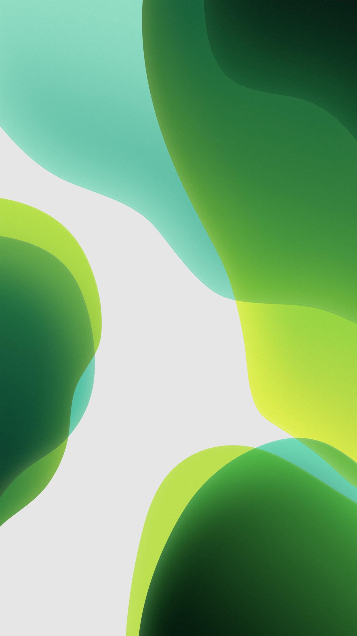 1242x2208 Green And White Wallpaper