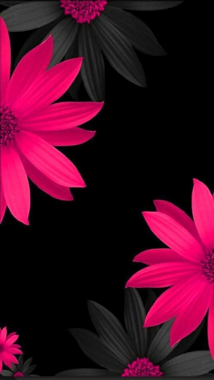 Flower Theme Wallpapers - Top Free Flower Theme Backgrounds -  WallpaperAccess