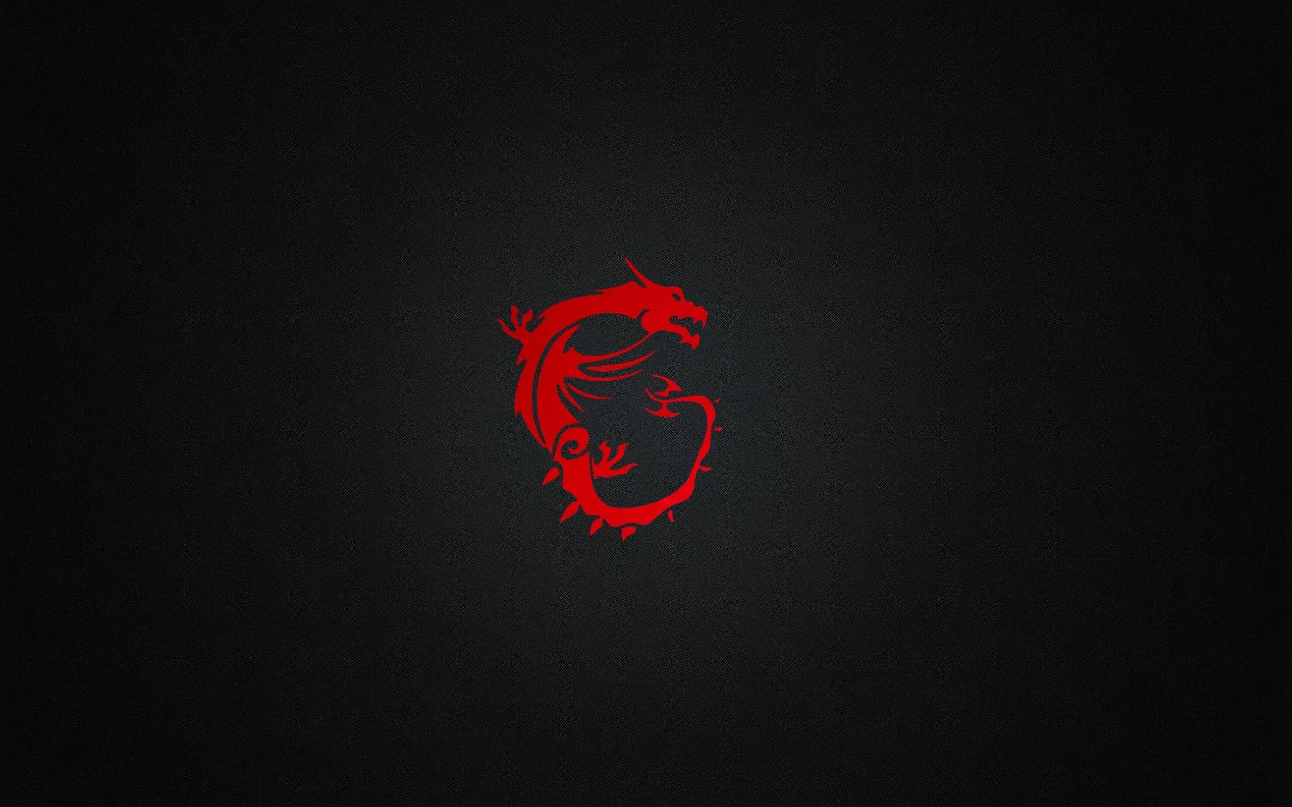2560x1600 Minimalistic MSI Wallpaper