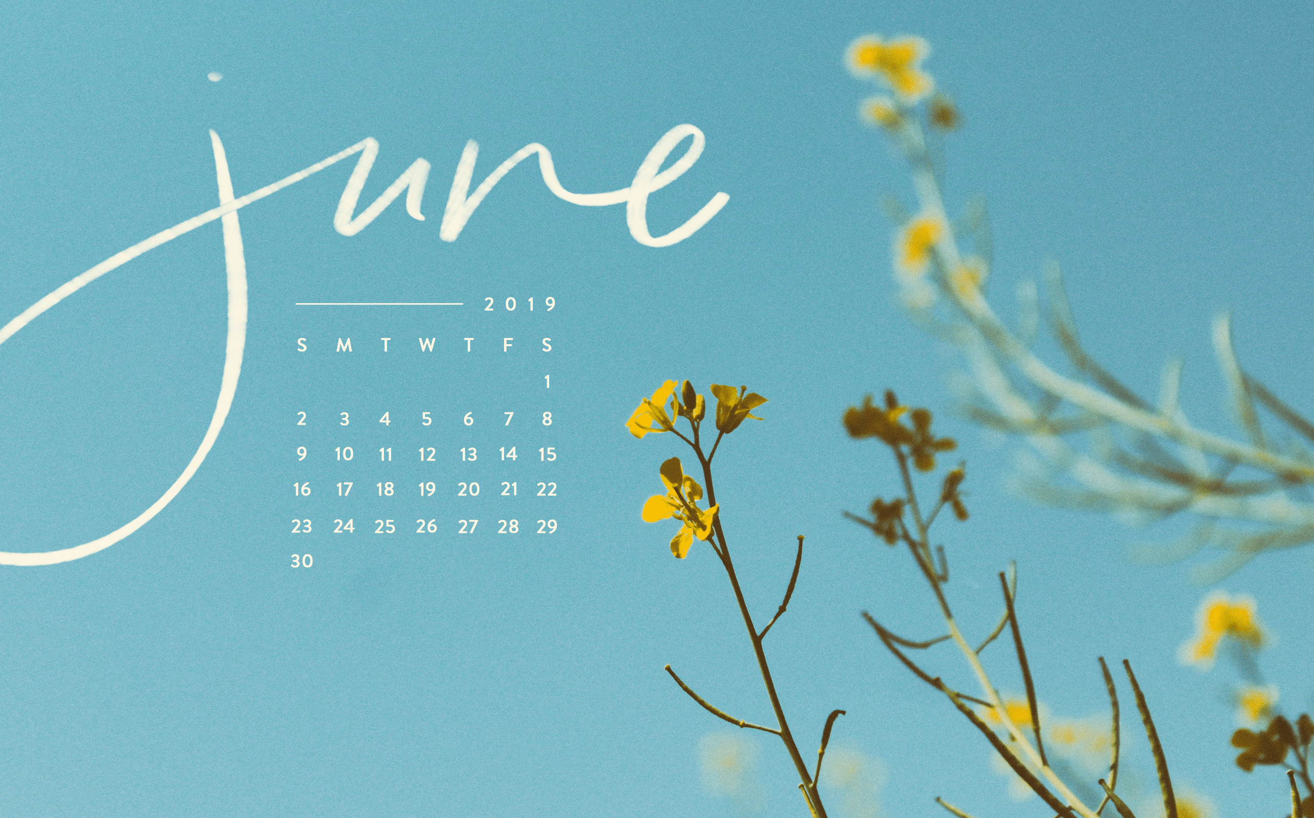 2560x1595 June 2019 Desktop Calendar