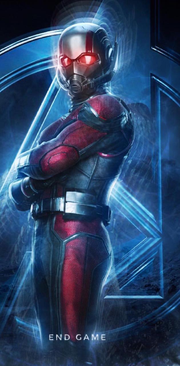 630x1280 Ant man wallpaper