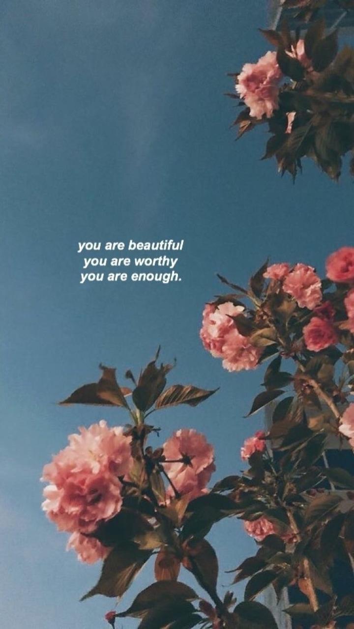 720x1280 beautiful wallpaper, flower, sky, pink, plant, spring