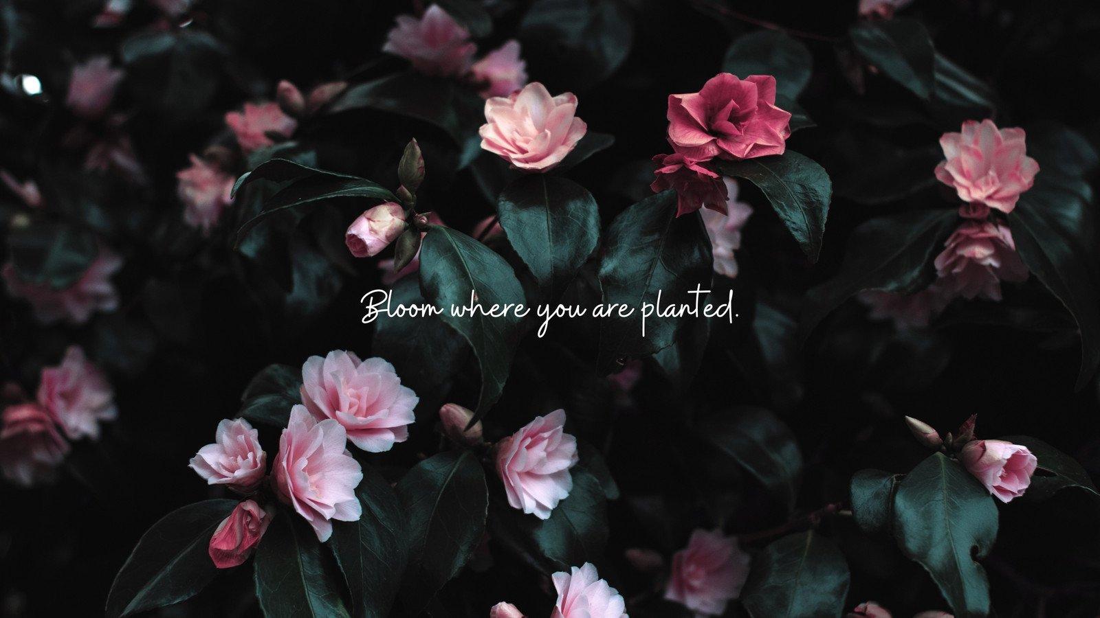 1600x900 Free and customizable floral desktop wallpaper templates