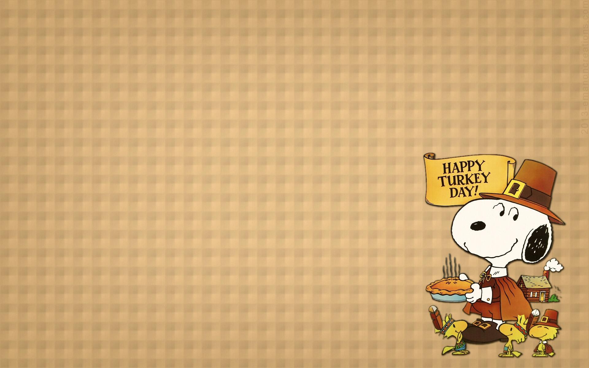 1920x1200 1920x Res Thanksgiving Turkey Background