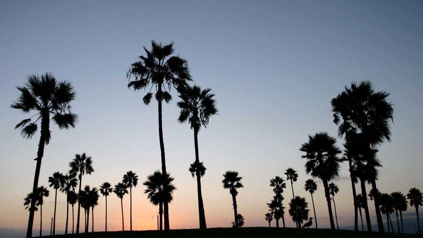 1440x810 California Laptop Wallpaper, HD California Laptop Background on WallpaperBat