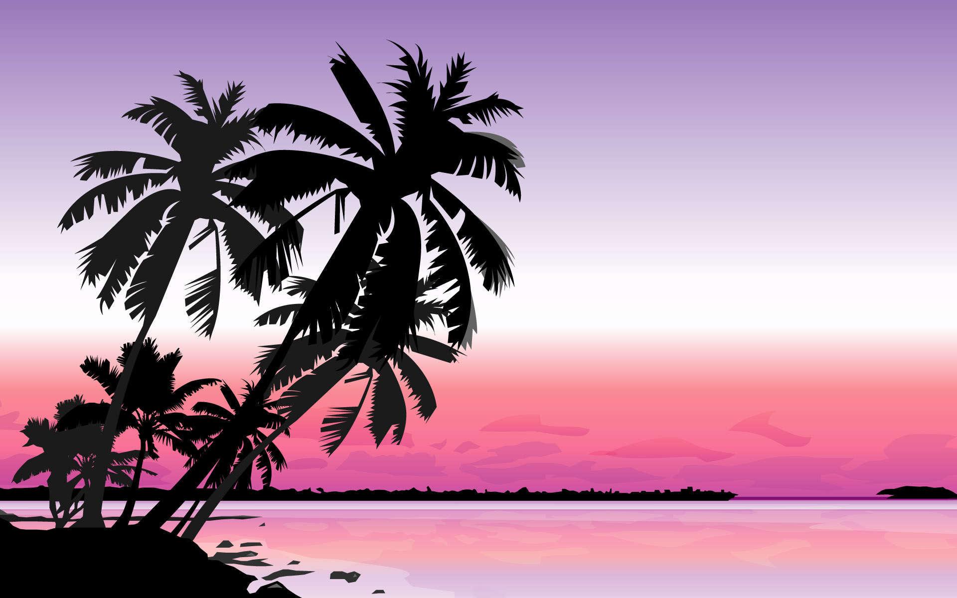1920x1200 Palm Tree Desktop Wallpaper