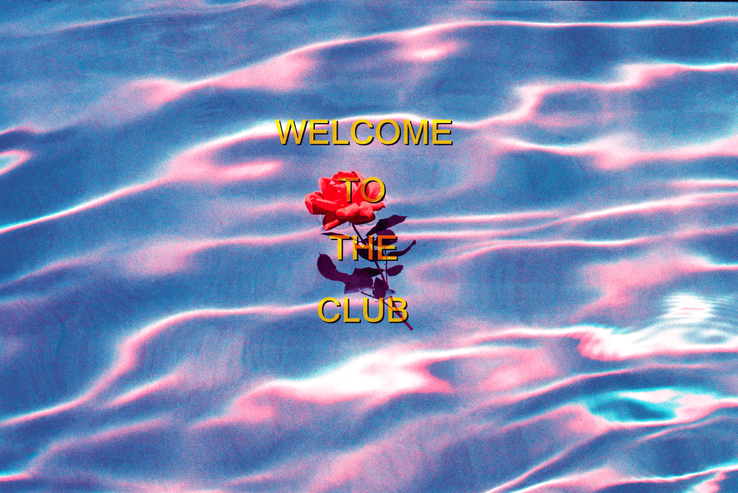 2500x1672 Welcome To The Club (Inspired by current shop splashpage design): antisocialsocialclub