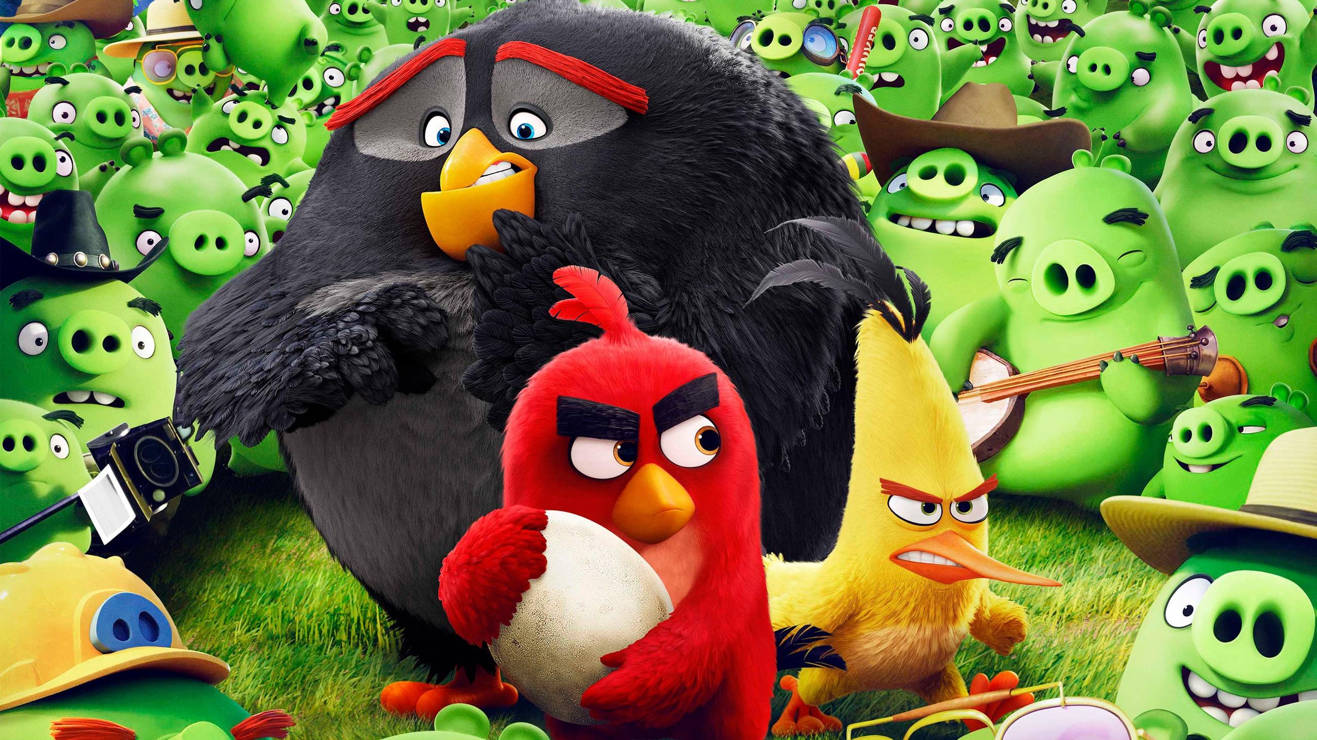 2560x1440 Angry Birds Animation Movie Wallpaper in jpg format for free download
