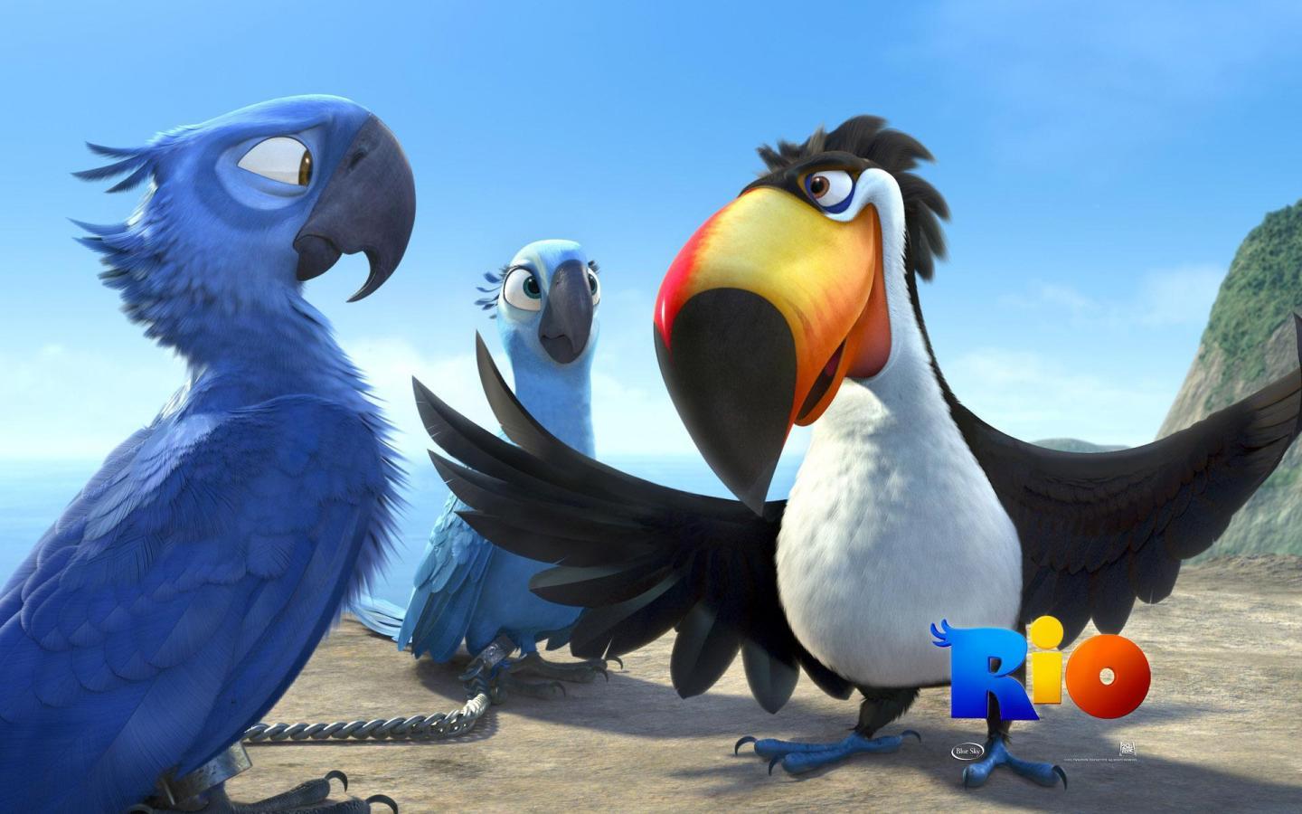 1440x900 crazy bird cartoon Wallpaper crazy bird cartoon Wallpaper