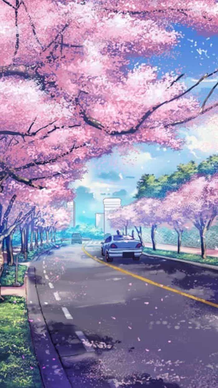 700x1244 Anime Spring iPhone Wallpaper