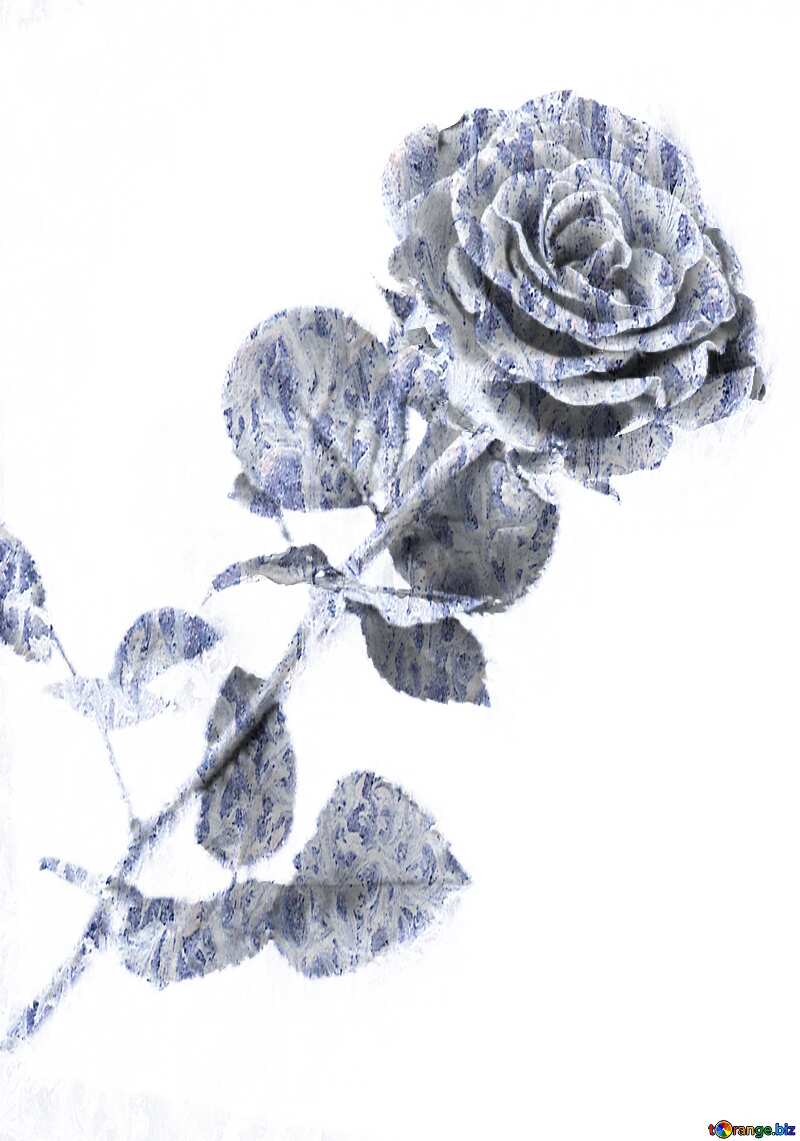 800x1141 Download Free Picture Frozen Rose On CC BY License Free Image Stock TOrange.biz Fx №177662