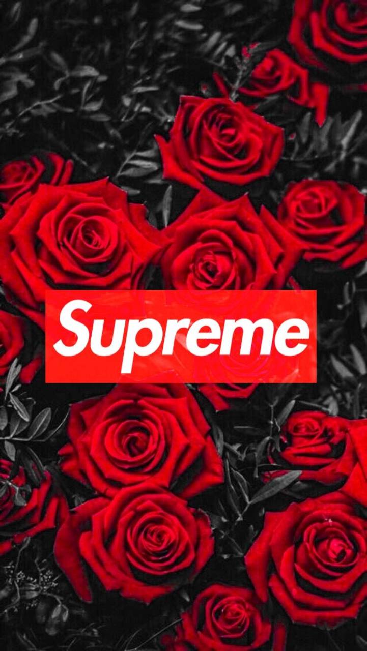 721x1280 Rose Supreme Wallpaper, HD Rose Supreme Background