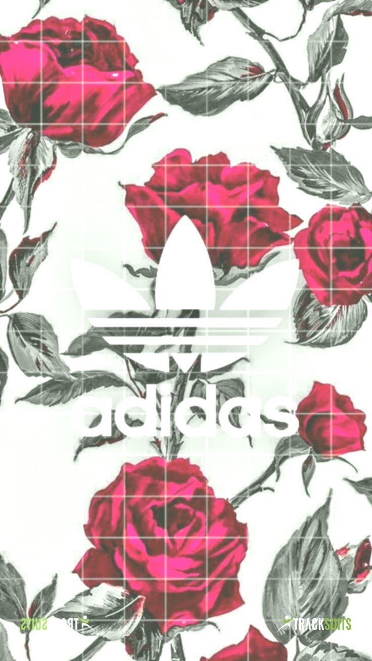 736x1308 Rose Supreme Wallpaper, HD Rose Supreme Background