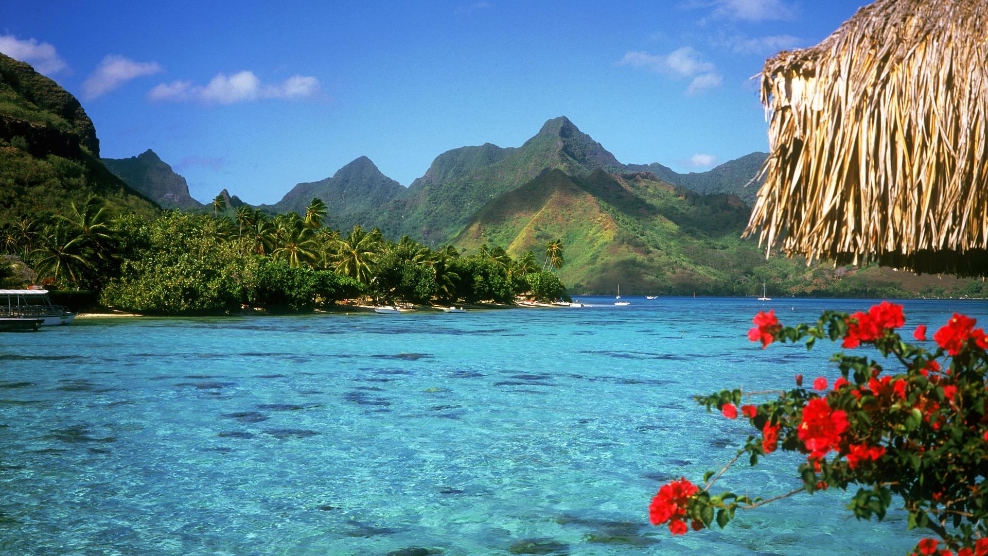 1920x1080 Free download Bora Bora Best Beach Wallpaper Travel HD Wallpaper [1920x1080] for your Desktop, Mobile & Tablet. Explore HD Bora Bora Wallpaper. Bora Bora Wallpaper High Resolution, Bora Bora