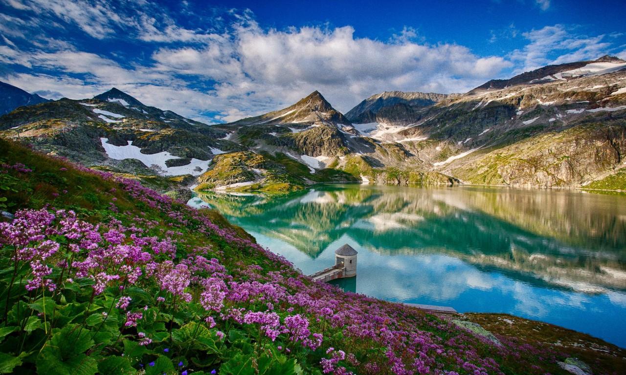 1280x768 Spring Landscape Weißseeglacier, Austria Lake Mountain Flowers Reflection Wallpaper HD :
