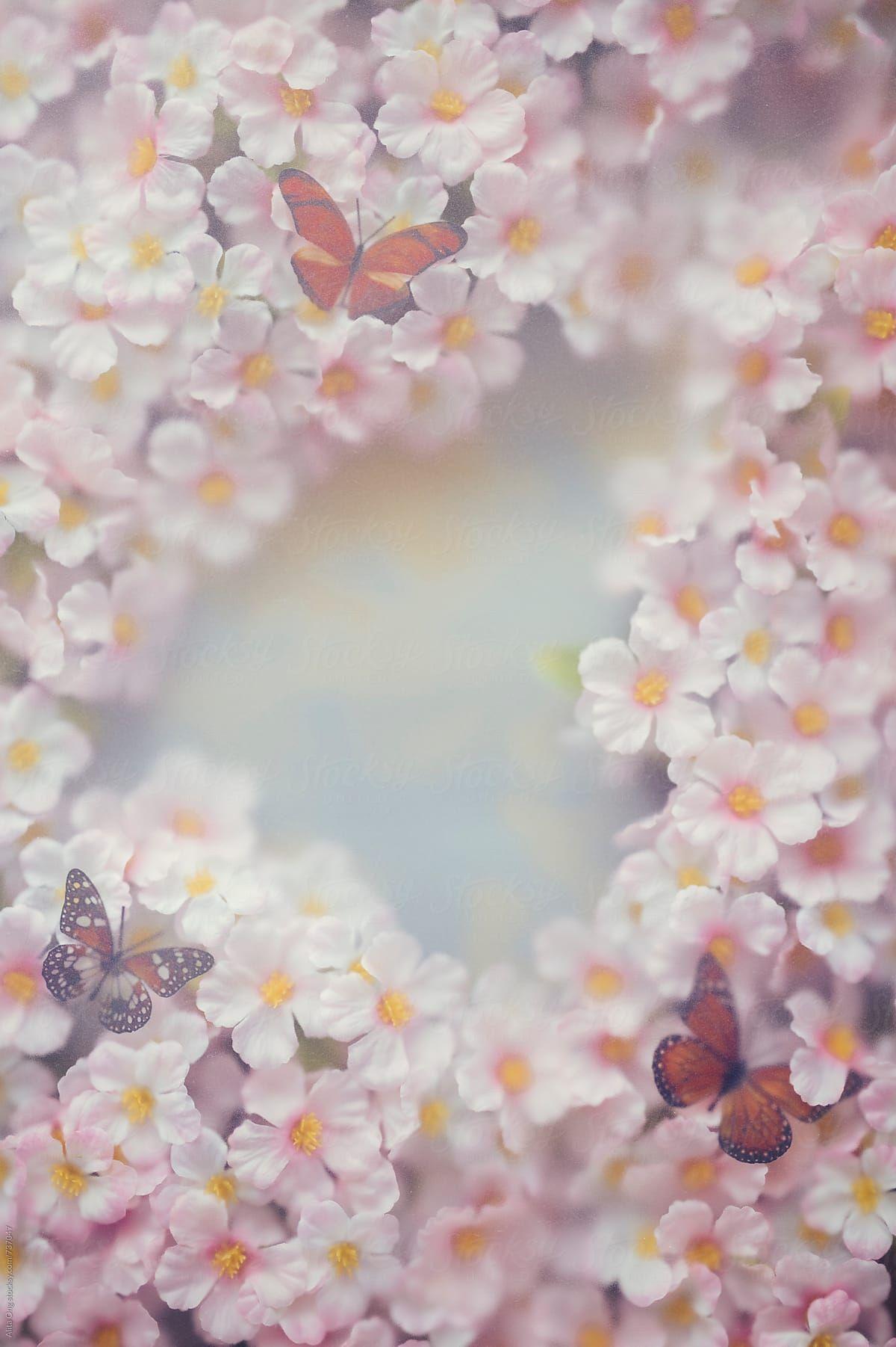 1200x1802 Cherry Blossom Texture And Butterfly by Alita Ong. Butterfly background, Butterfly wallpaper iphone, Cherry blossom