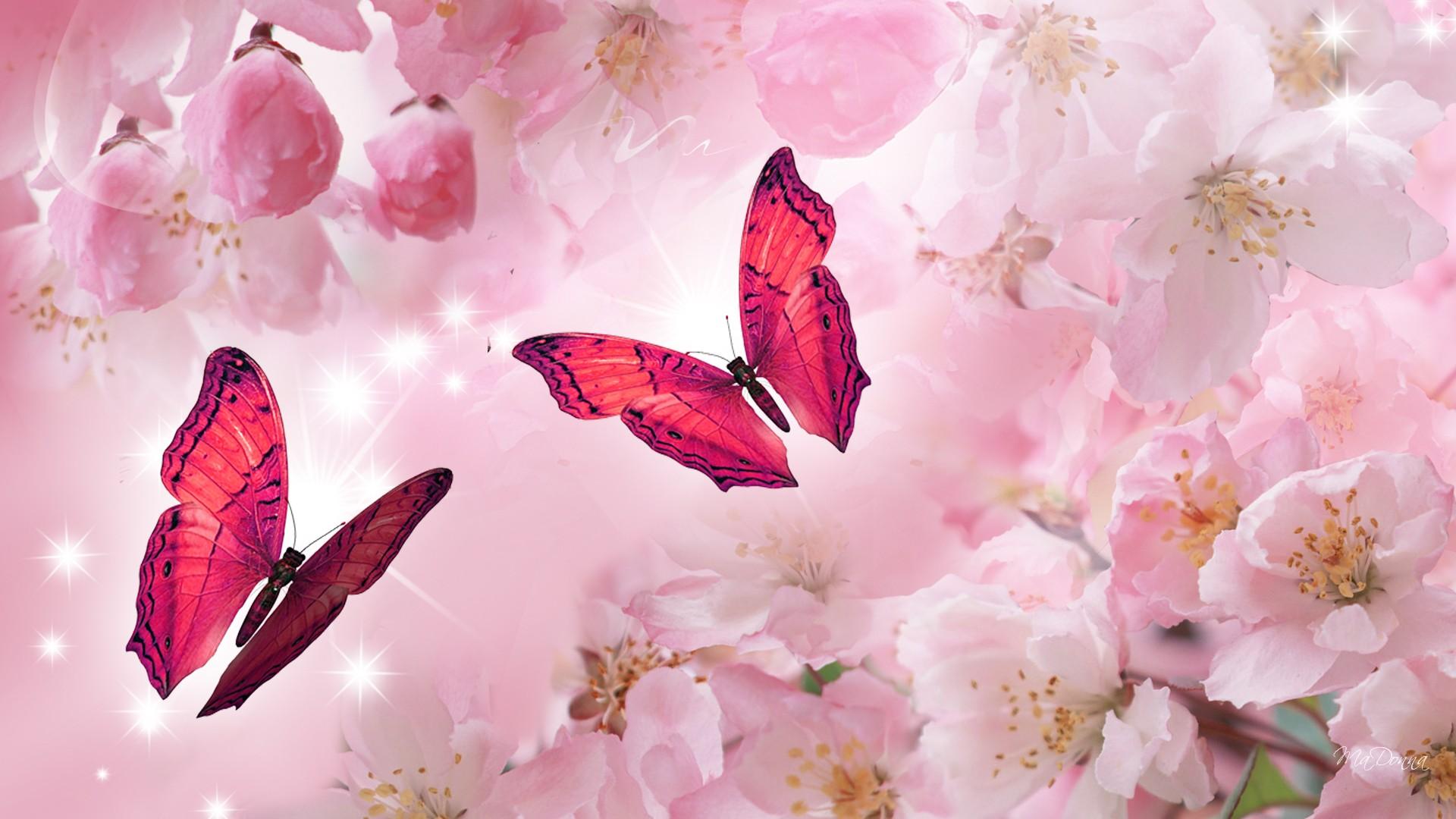 1920x1080 Free download cherry blossoms HD wallpaper dowload cherry blossoms image dowload [1920x1080] for your Desktop, Mobile & Tablet. Explore Wallpaper for Walls Designs Cherries. Textured Wallpaper Designs for Walls