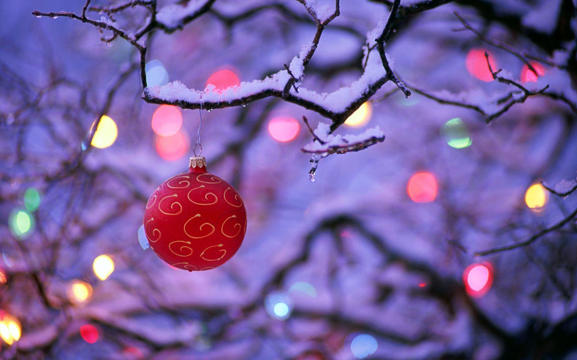 1920x1200 Winter and Christmas desktop background