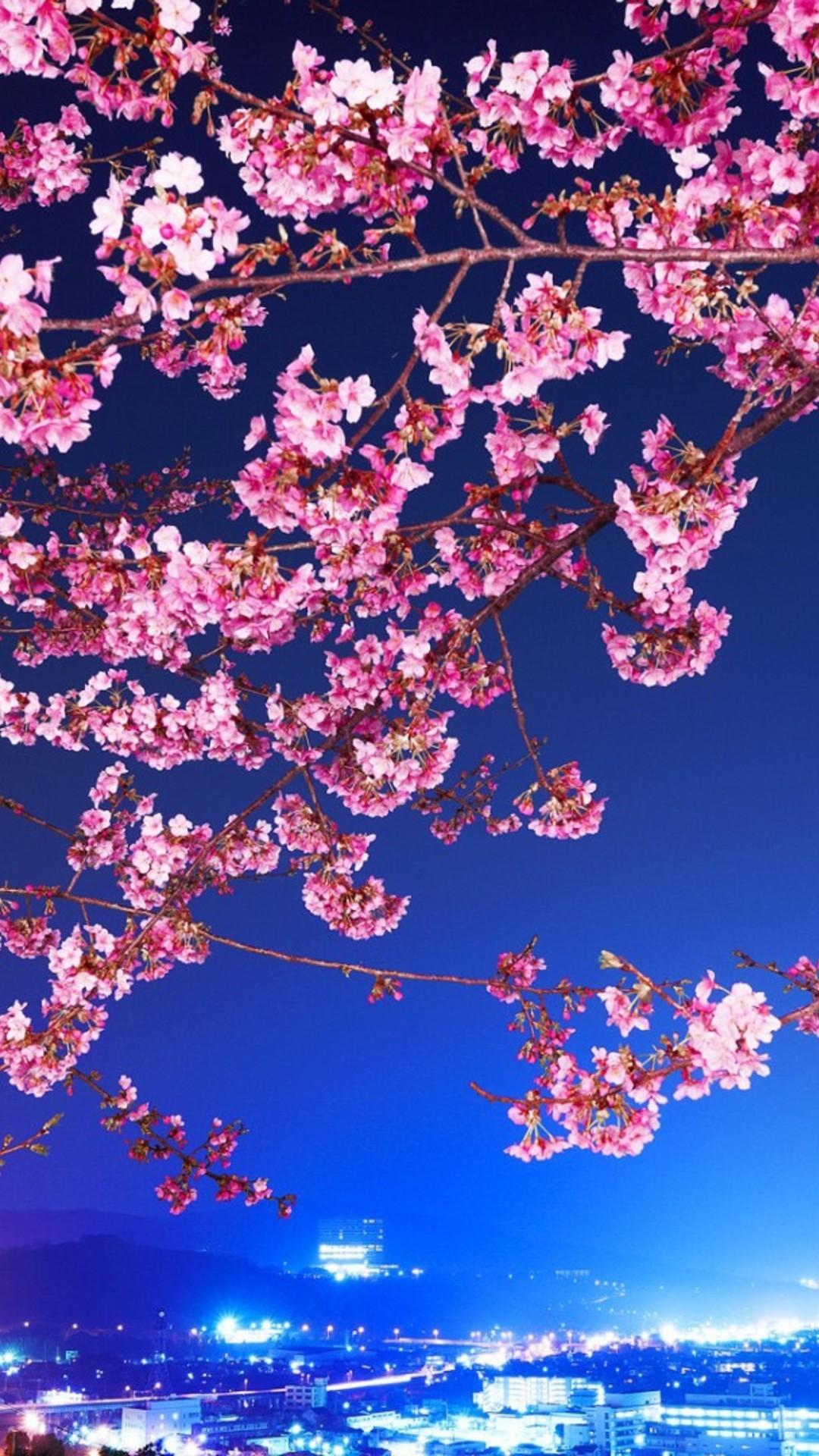 1080x1920 cherry blossom iphone full HD wallpaper