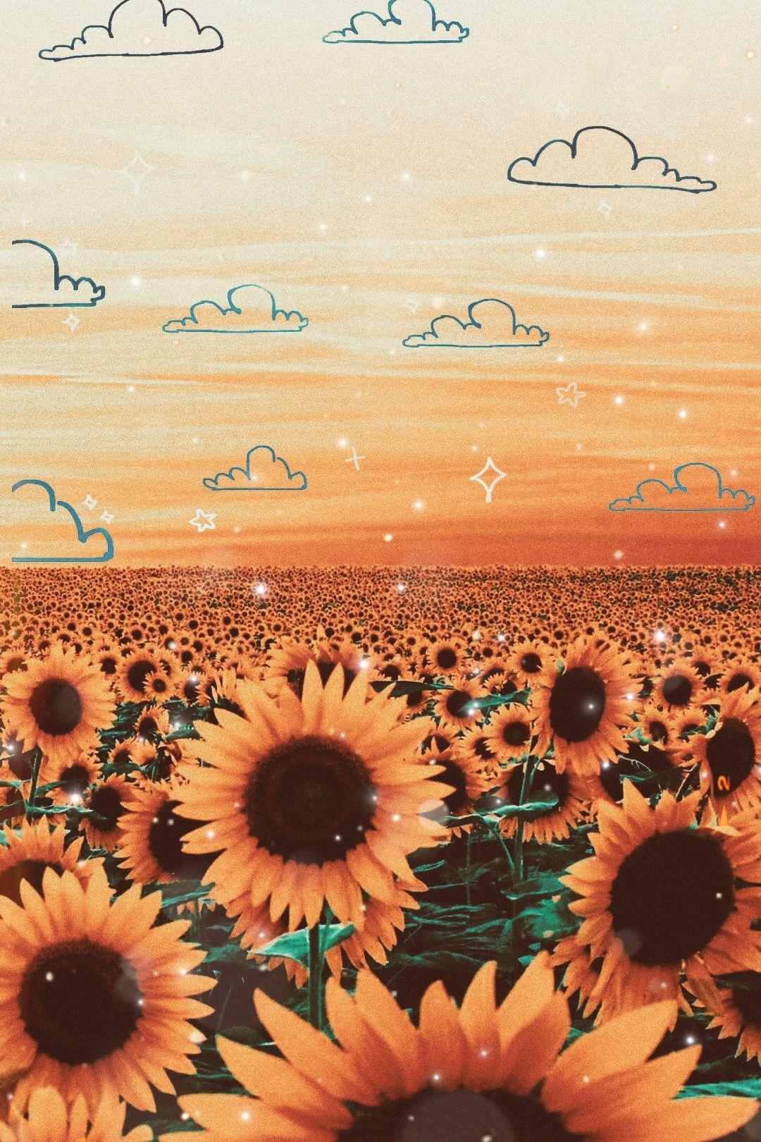 Sunflower Aesthetic iPhone Wallpapers - Top Free Sunflower Aesthetic