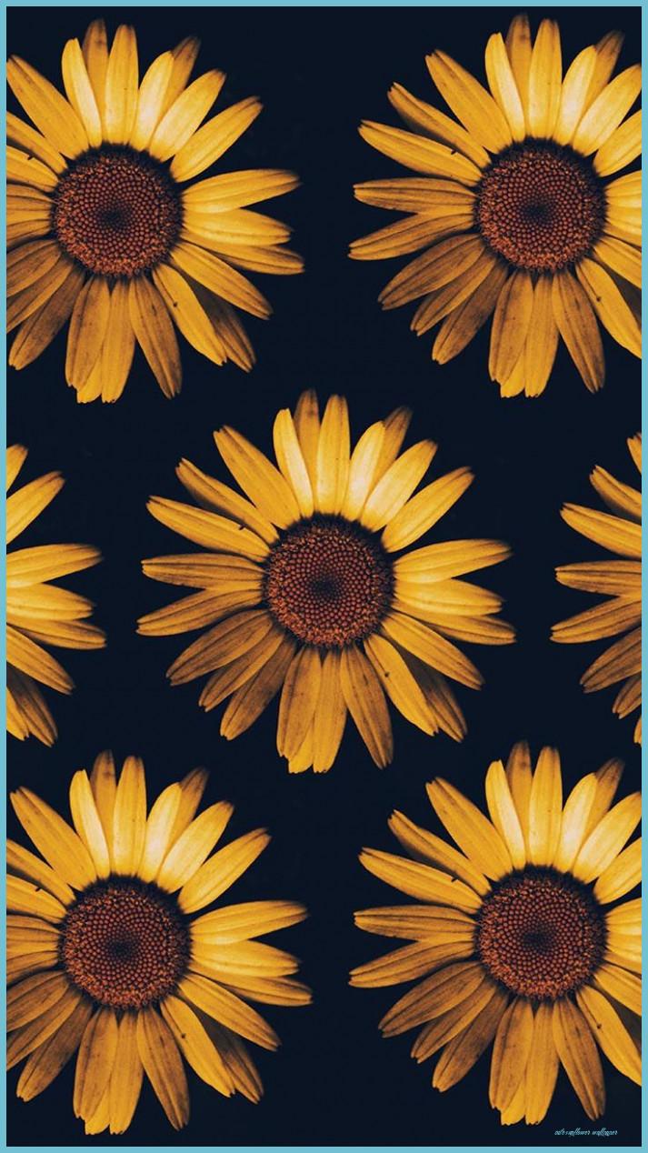 Sunflower Aesthetic iPhone Wallpapers - Top Free Sunflower Aesthetic