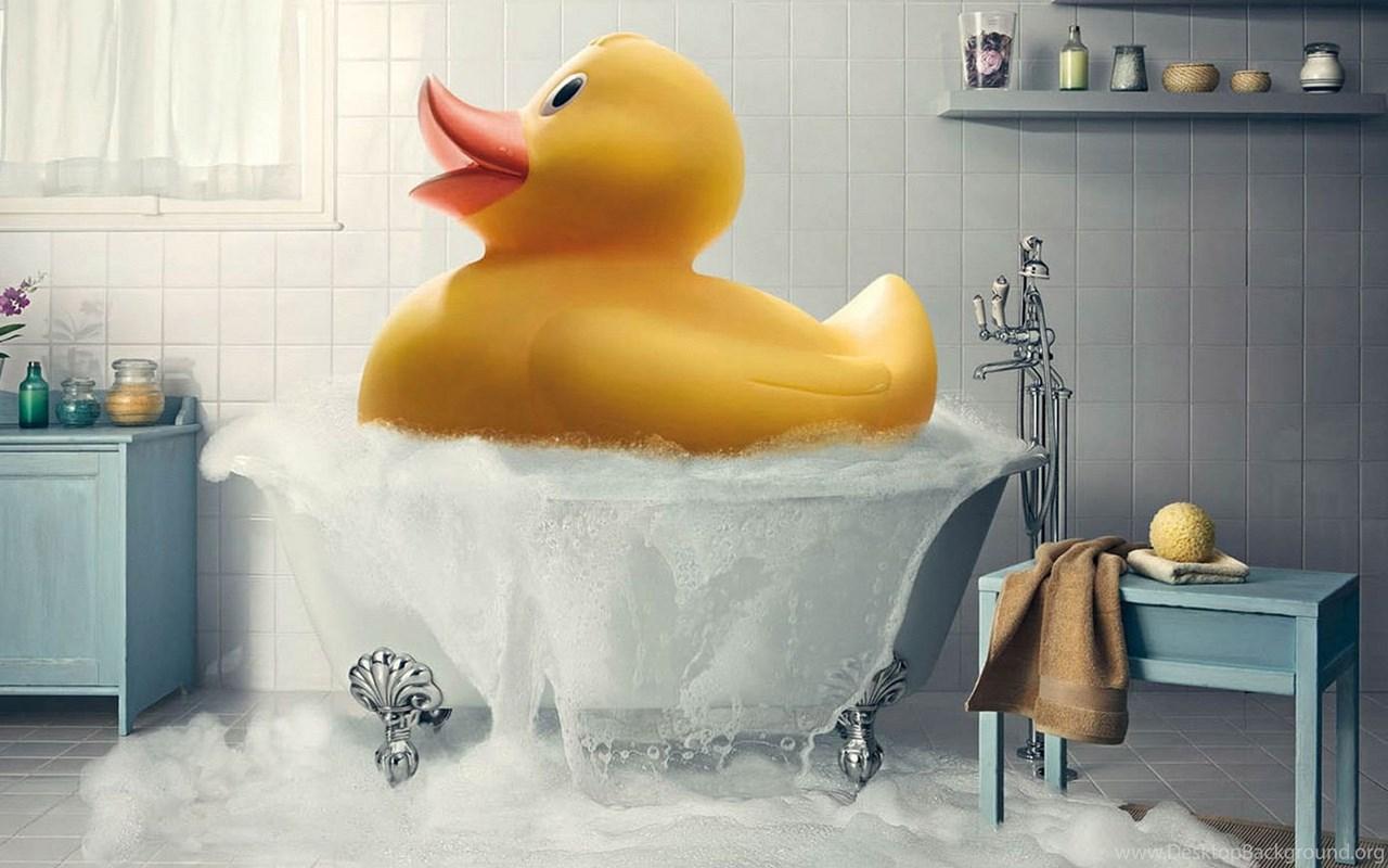 Cute Yellow Ducks Wallpapers Top Free Cute Yellow Ducks Backgrounds